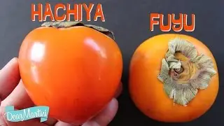 How to Prepare Persimmons