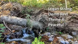 Demo Reel - Theme 4: Peaceful