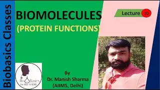 Protein Functions (Biomolecules): NCERT and NEET