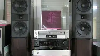 SONY ES