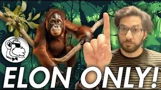 ELON! - You NEED to Hear This! (Monkeys Token)
