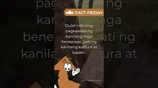 #FactFriday on Indigenous Peoples in the Philippines
