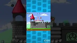 The BEST Mario and Sonic Crossover!