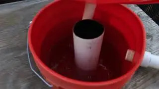 Aquaponics Experiment!