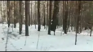 Урал - мой край