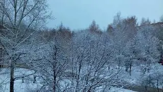 Осень 2017 1 окно 1 месяц.
