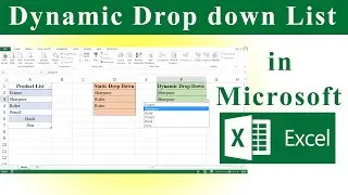 How to Create Dynamic Drop down List in Excel | Drop Down List using Data Validation