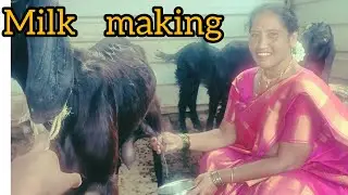 #Milk   #making