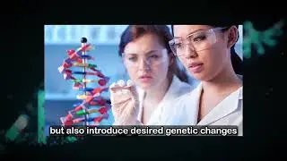 Rewriting the Code of Life - CRISPR and The Genetic Manipulation