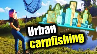 Urban carp fishing | Pesca urbana de carpas en el río (con maíz y pellets) CARPFISHING España 2020