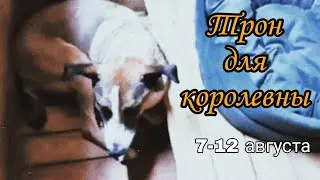 Трон для королевны