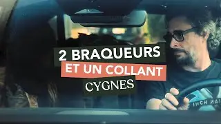 2 BRAQUEURS ET UN COLLANT CYGNES