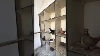 10 сентября 2024 г.
