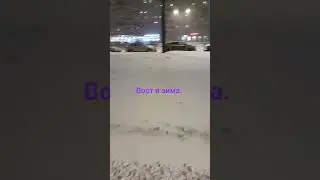 27 ноября 2023 г.