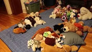 Star Wars Droid in the Stuffed Animal Mountain