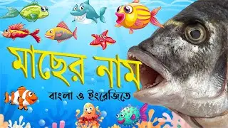 মাছের নাম বাংলা এবং ইংরেজীতে | Fish Name with Picture in Bengali and English | বাচ্চাদের জন্য মাছ।