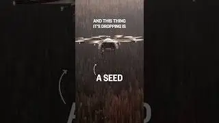 The future of wildfire restoration?