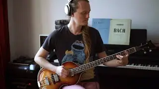 King Gizzard & The Lizard Wizard - Honey (Bass Cover)
