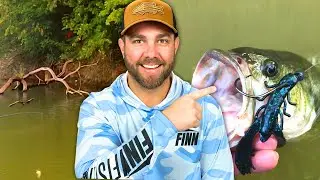 Big Bass LURK In The Wood