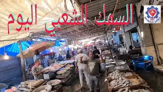 @ الأسماك وأسعارها في سوق الأنصاري.. شاهد الأسماك الشعبية التنوع و بأسعار مناسبة.