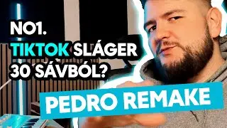 No.1 TikTok sláger 30 sávból - PEDRO REMAKE