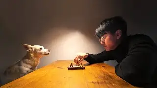 Size matters