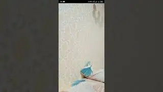 bigo live terbaru tante kim #bigolive #pemersatubangsa #viral #video #live