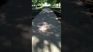 Типичный Петербург