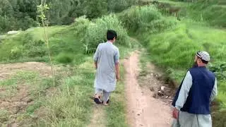 Qurbani 2021