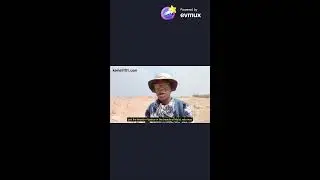 Hemiunu's Pyramid and The Pyramid Builder Bloodline