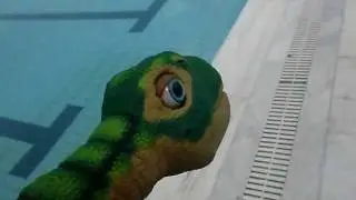 The Cute Pleo At The Pool!