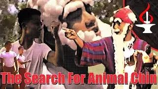 The Search For Animal Chin - Kung Fu Movie