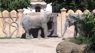 Zoo Leipzig