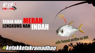 Casting Siakap Kolam! Softplastic Menjadi Taruhan! [V#14]
