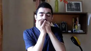 Crossroads harmonica dance cover