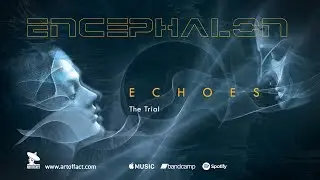 ENCEPHALON: 