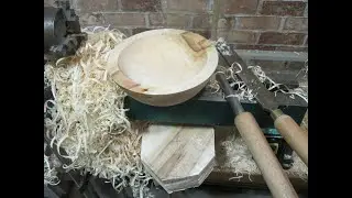 Американский клен. Плюсы и минусы/ American maple. Advantages and disadvantages