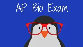 ✨TODAY is the AP Bio Exam✨ Good Luck Penguins - I am already proud of you ❤️🤓🐧#apbio #apbiology