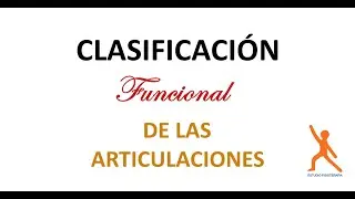 Clasificación Funcional de las Articulaciones - EstudioFisioterapia