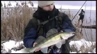 Ловля судака на Курчатовском водохранилище