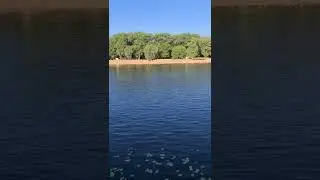 Гомель река Сож