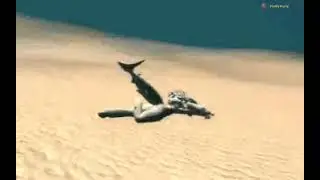 Apparently, Sharks can't breathe underwater