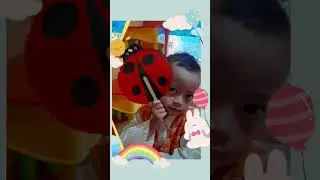 Kipas Kepik 