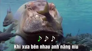 KARAOKE Tình yêu đầu tiên - Đan Trường