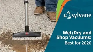Best Shop Vacs and Wet/Dry Vacuums for 2021 | Sylvane