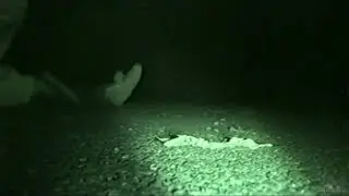 jg60 extreme horror