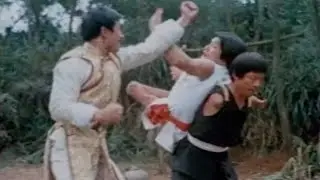 De Beerput #22: The Crippled Masters (1979)
