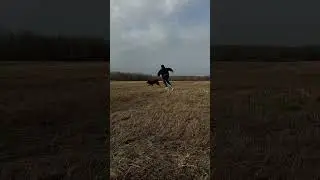 Таня Каширина бегает с собаками