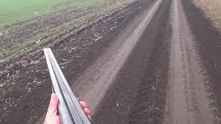 Охота на зайца на Кубани