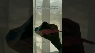 дракон улетел в другую страну!